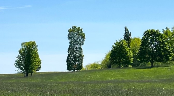 Viles Arboretum … part one.