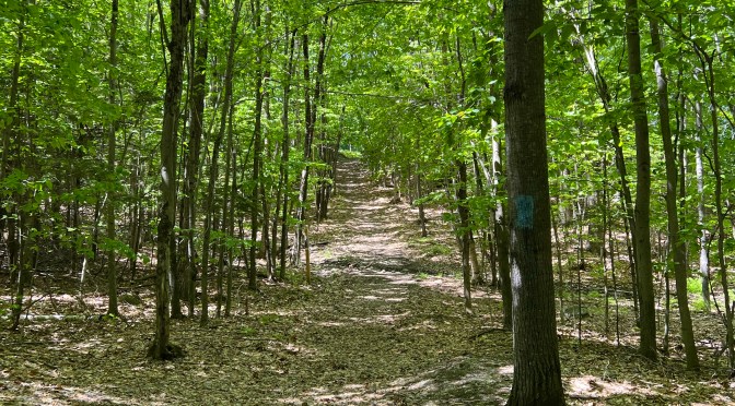 Viles Arboretum… part two.