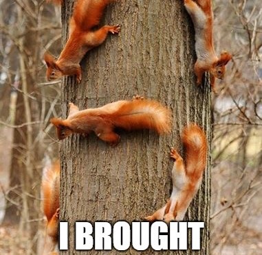 The bitch has moved back in!