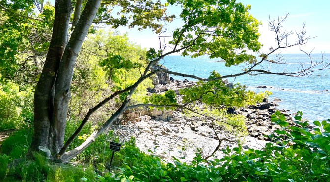 York Cliff Walk ….. part one.