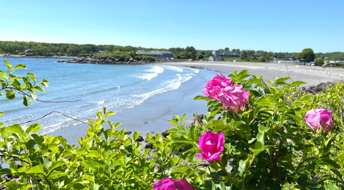 York Cliff Walk… part four.