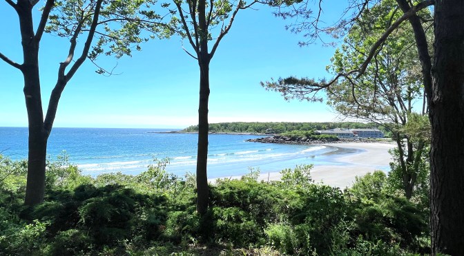 York Cliff Walk … part five.