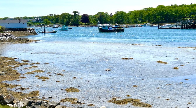 Fisherman’s Walk… part two.  The Wiggly Bridge