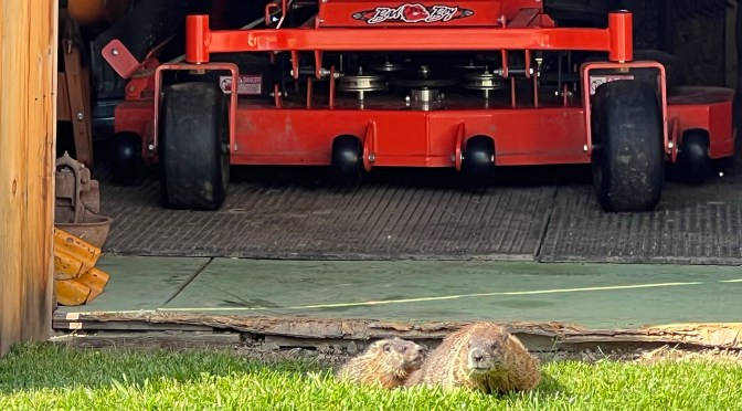 If you leave the door open…