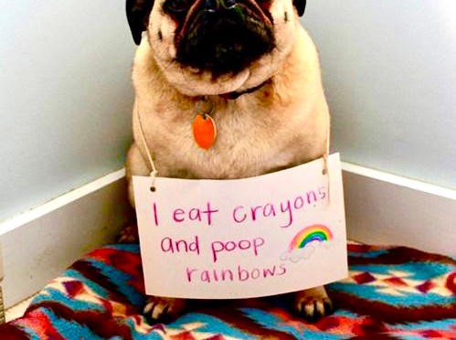 No searching required.