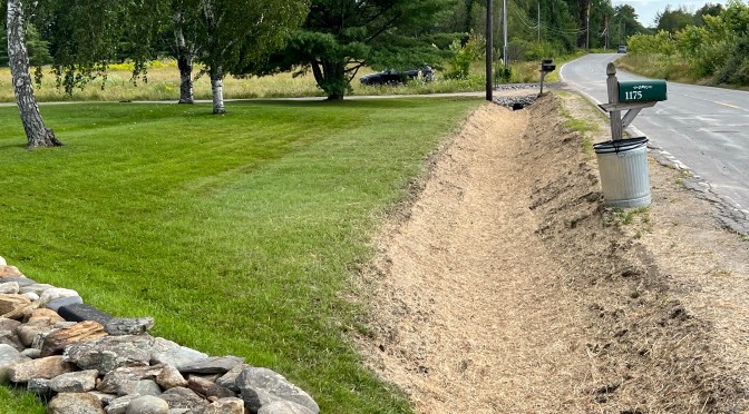 Life’s a ditch… the nightmare result.