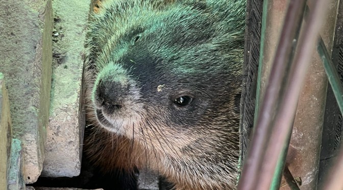 Up close and personal.