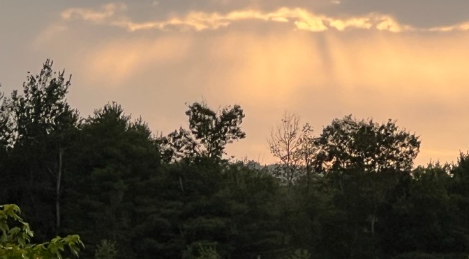 Liquid dessert and a sunset.