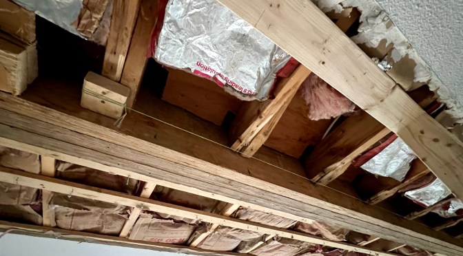 Beam/ceiling repair project, day two…. good news is usually too good to be true.