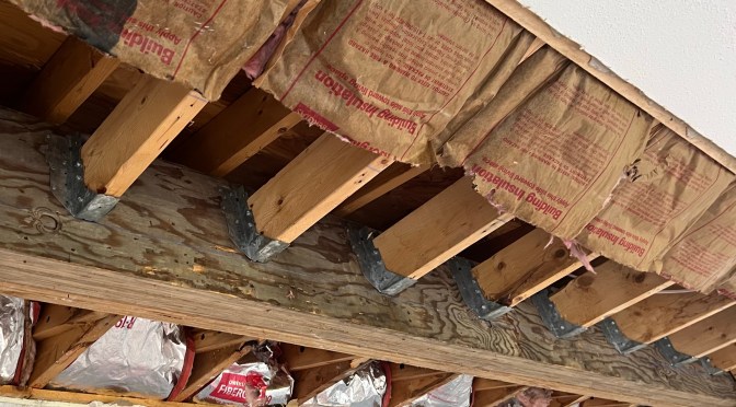 Beam/ceiling repair project, day 3 ….  blissfully uneventful.
