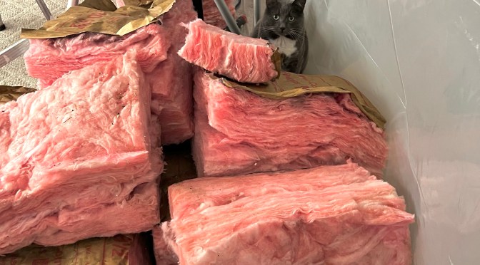 Beam/ceiling repair project, day 4… where a little snag was hit.