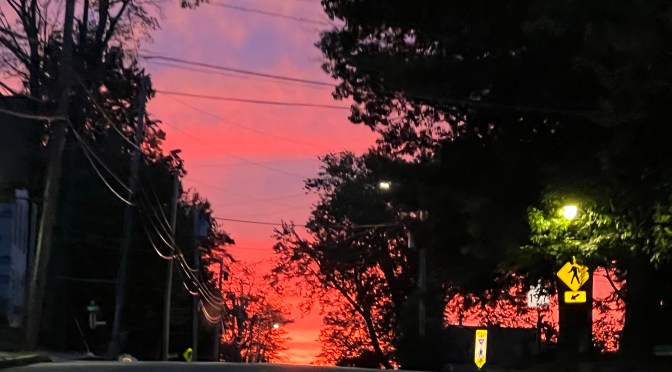 The calm before the storm.