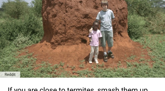 More (not really) helpful survival tips.