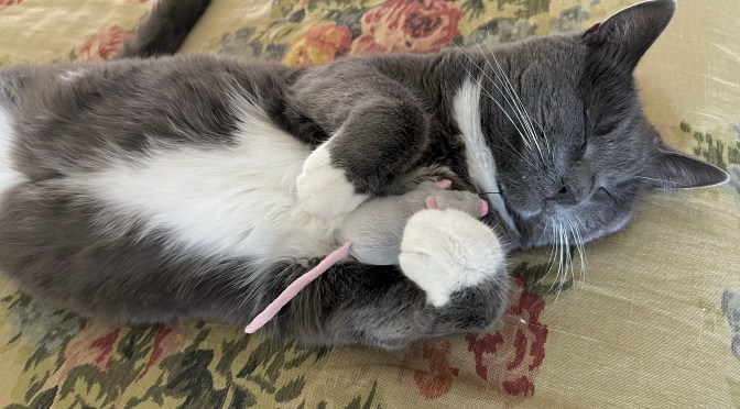 When you really love your mouse.