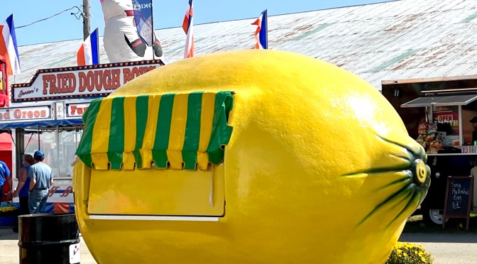 Let’s go to the fair! Part one…