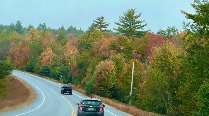 The biggest and the best.