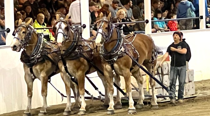 Fryeburg Fair, part four… disappointing dough and a show.