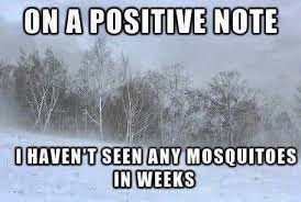 This should be fun. Not.