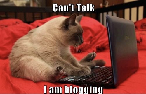 I’m beginning to wonder what the record is….