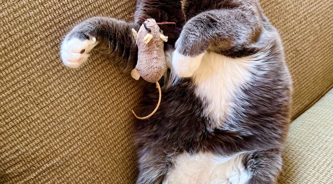 Miscellaneous missives.