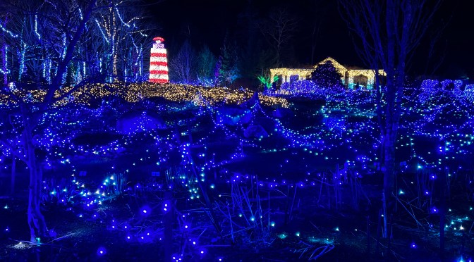 More from the Gardens…