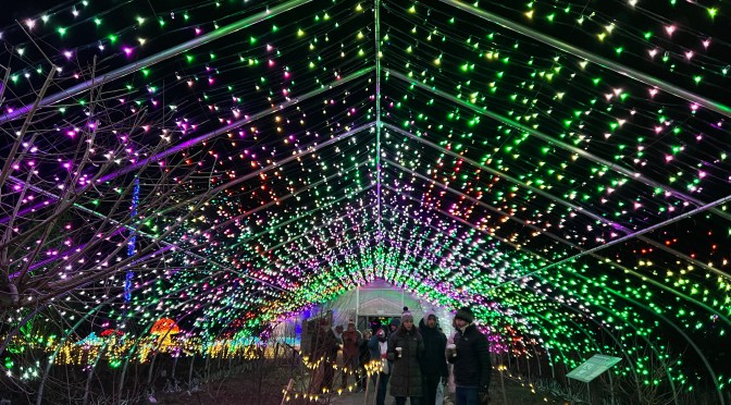 Gardens Aglow… part three.