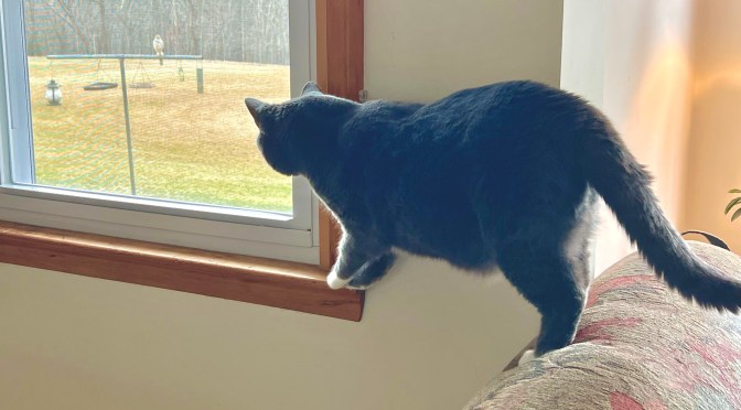 Miscellaneous nonsense.