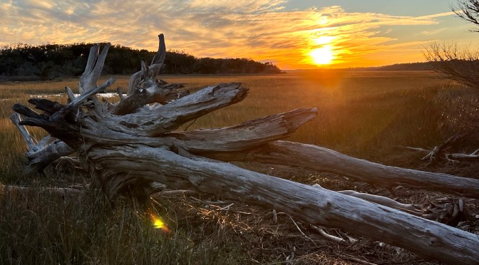Walking to Botany Bay beach at sunset.