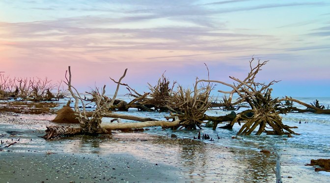 Boneyard Beach at Botany Bay