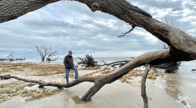 A boneyard with no bones.