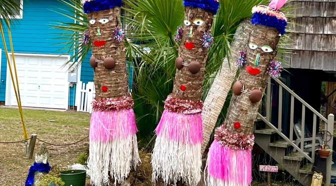 Saying goodbye to the boneyard and quirky Edisto.