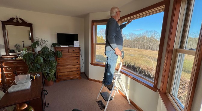 Dead mice, cellular shades and laser levels.