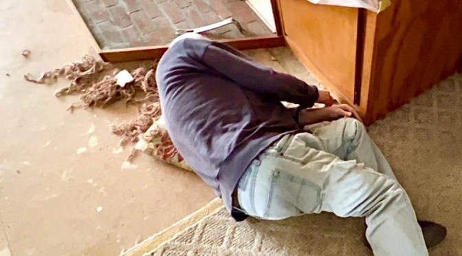 The major, the minor and the furry inconveniences.