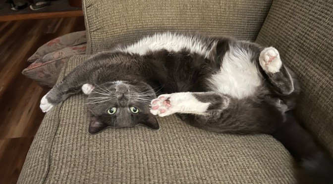 Perspective changes everything.