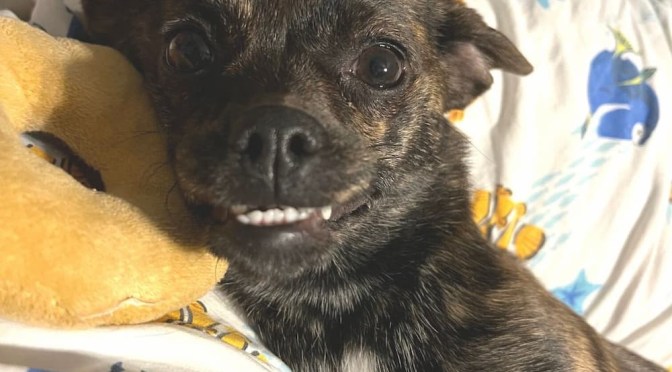 A little oral history…