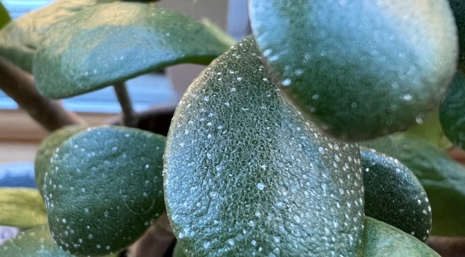 Miscellaneous nonsense.