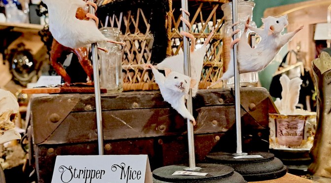 Miscellaneous nonsense.