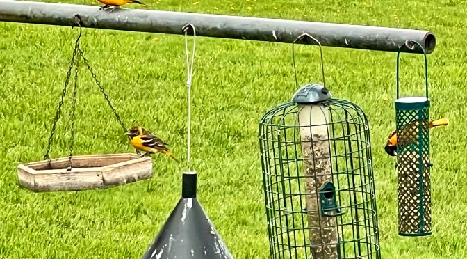 It’s a colorful time of year.