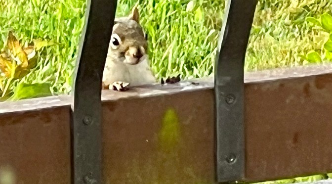 The b*tch is back…