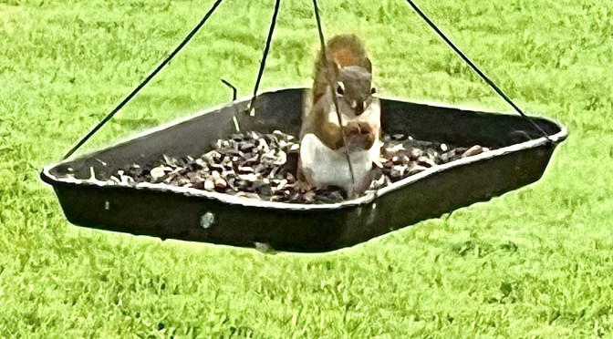 Outnumbered, but undeterred.