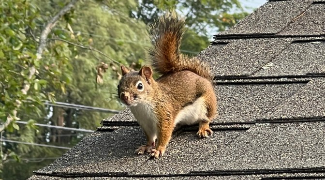 No. You can’t come in…