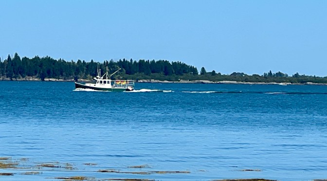 A sub par lunch, an east end stroll and proof that you can’t go home again..