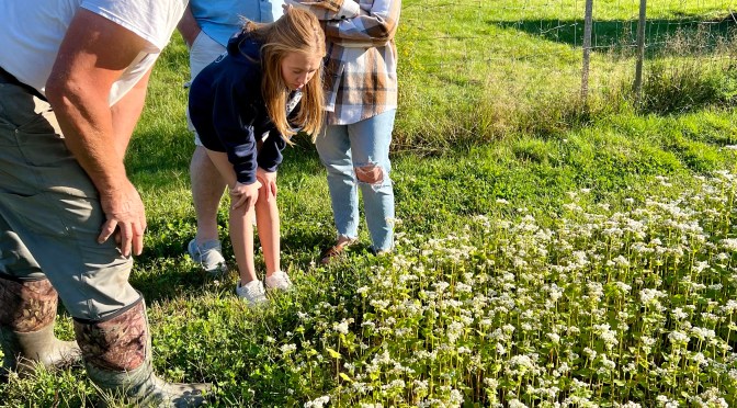 An old friend and the tool museum where the husband makes us miss a boat.