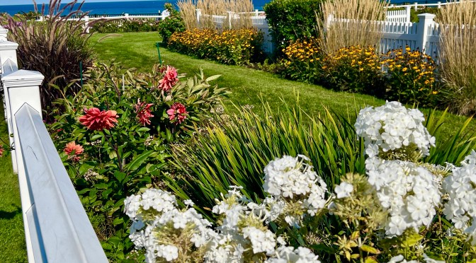 Wrapping up day 5 with ice cream.