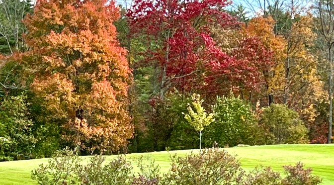 A little bit of controversy, a whole lot of nothing specific.