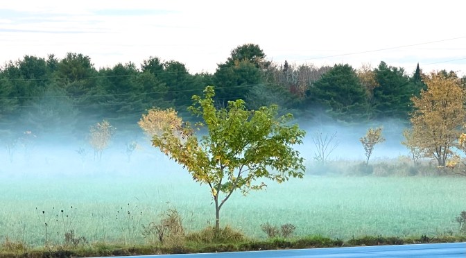 Morning fog and an organized drawer.