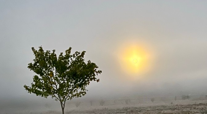 Miscellaneous nonsense.