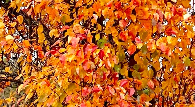 Miscellaneous nonsense.