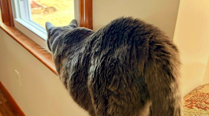 Danger Will Robinson!