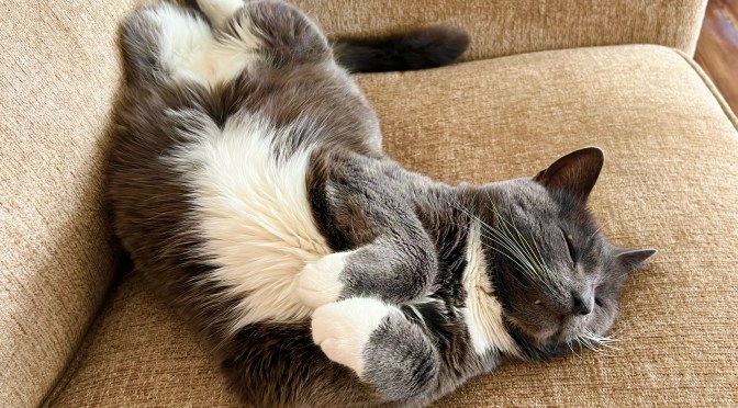 Creative carrots, cemetery shopping and unlimited tequila…